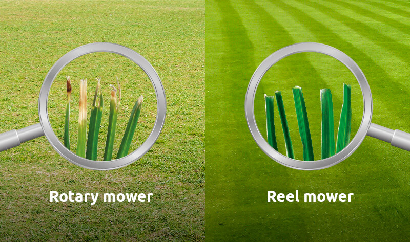 Reel Mowers | SWARDMAN