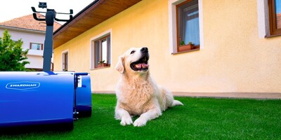 Wie pflege ich meinen Rasen, wenn ich einen Hund habe? | SWARDMAN