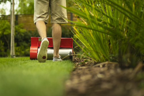 Grass substrate