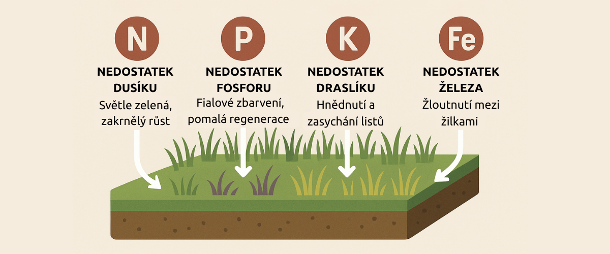 Infografika nedostatek základních živin trávníku