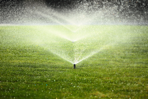 Lawn Irregation