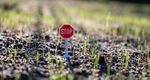 Do not step on the seeded lawn