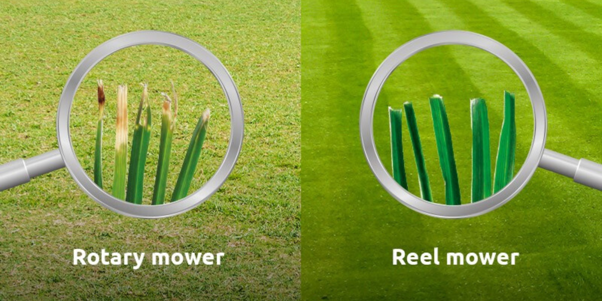 Comparison of rotary mower and reel mower