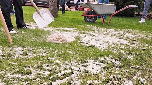 Pískování trávníku po aerifikaci