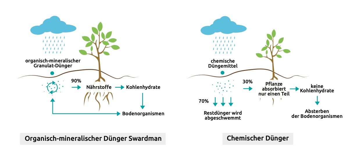 Vergleich organischer und chemischer Dünger | SWARDMAN