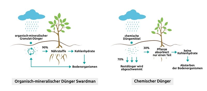 Vergleich von organischem und anorganischem Dünger