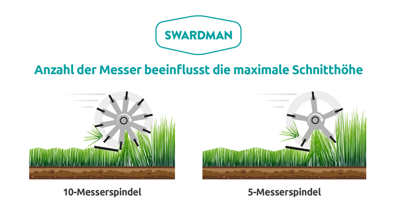 Infografik – max. Schnitthöhe