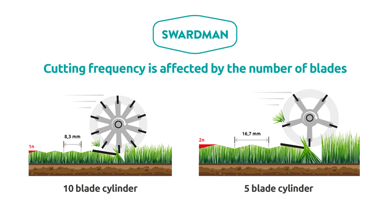 How to choose the right reel for your lawn