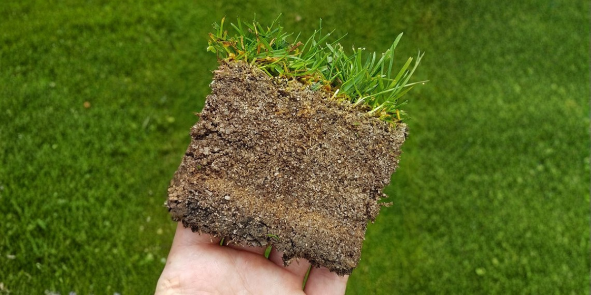 Půdní profil trávníku s vrstvami