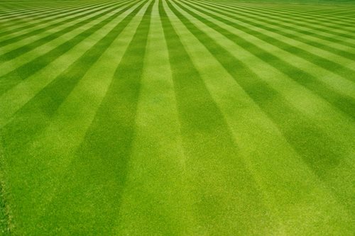 Lawn with stripes