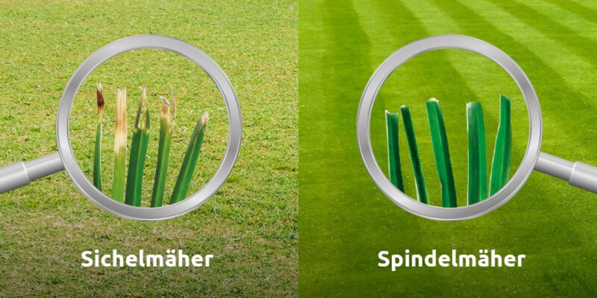 Vergleich von Rotations- und Spindelmäher