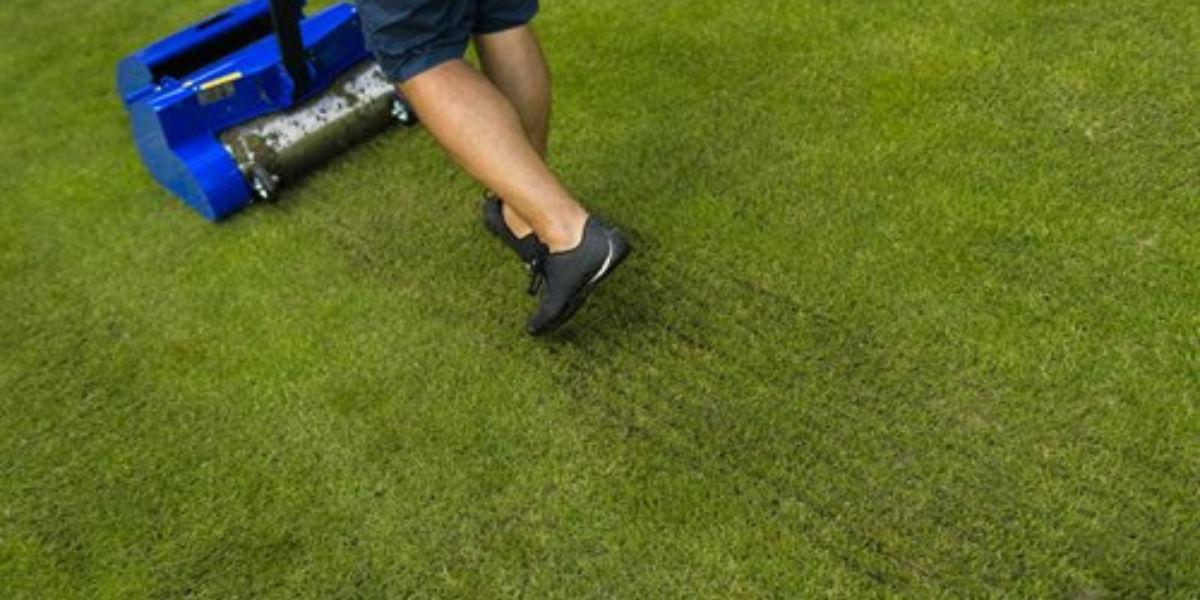 Jarní vertikutace trávníku