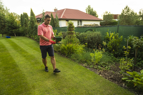 Lawn fertilizing