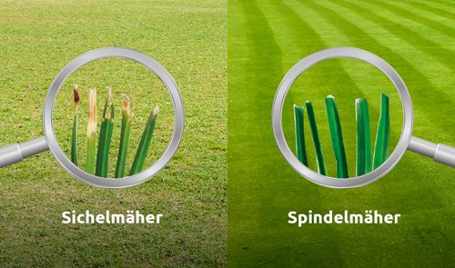 Sichelmäher vs Spindelmäher