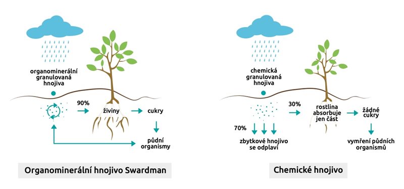 Srovnání organického a chemického trávníkového hnojiva